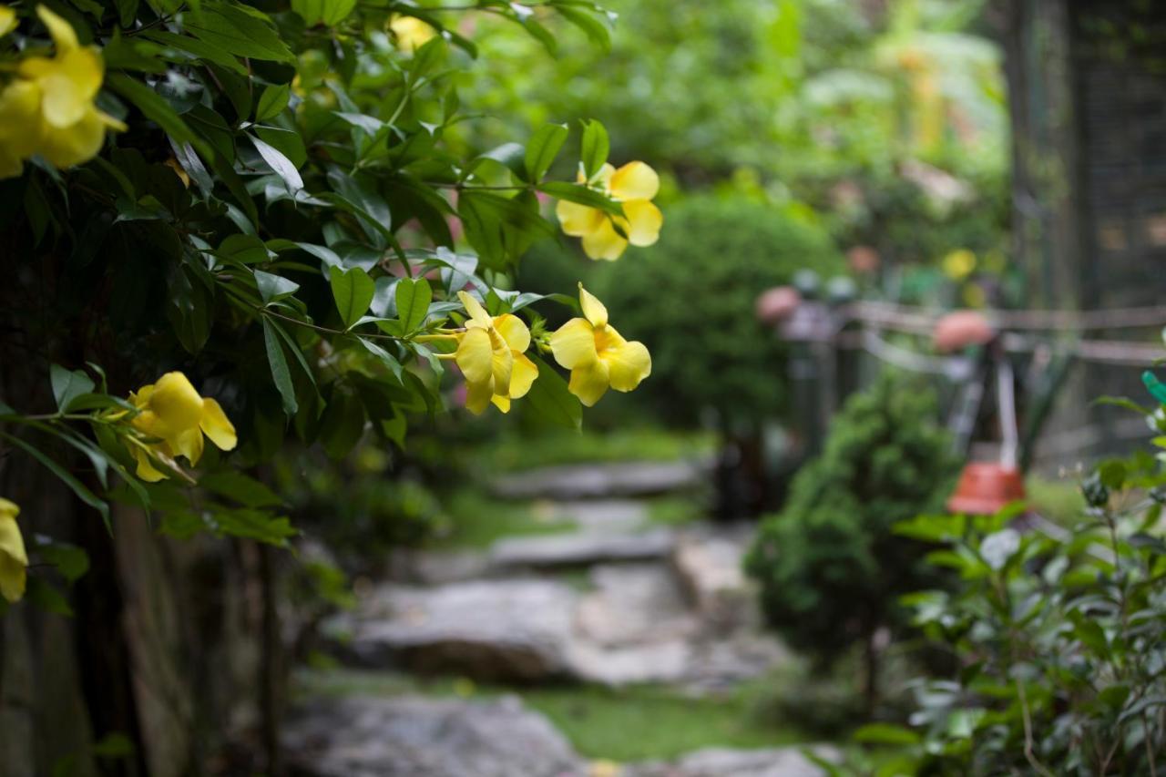 Tam Coc Lion Kings Hotel & Resort Ниньбинь Экстерьер фото